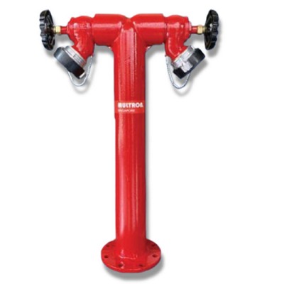 Trụ cấp nước chữa cháy 2 ngõ ra Multron PH-SQS 100VS