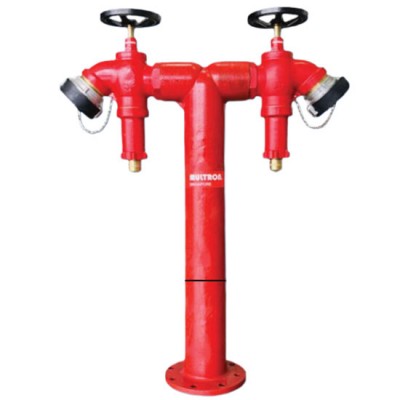 Trụ cấp nước chữa cháy 2 ngõ ra Multron PH-SQS 100VS-PRV