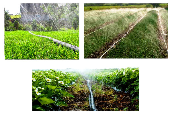 Ống dẹp tưới cây phun mưa 2